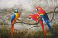 perroquets sur la branche des oiseaux